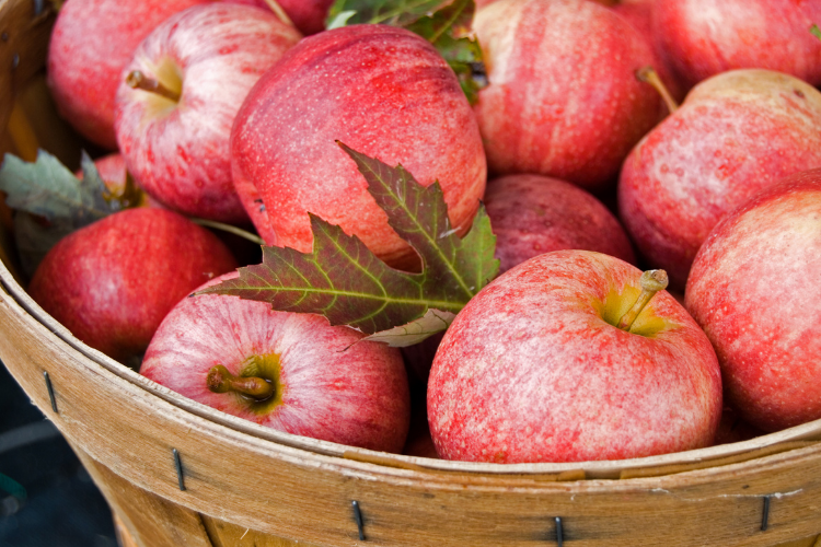Apple Orchards - Northeast Ohio - Cutler Real Estate