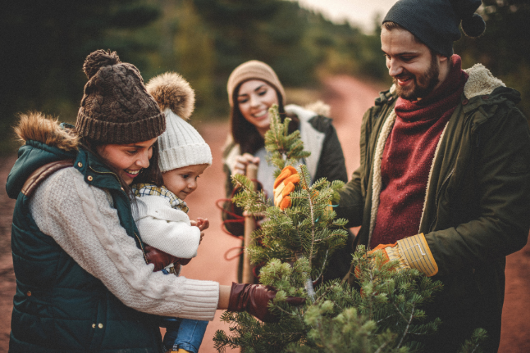 Christmas Tree Farms - Northeast Ohio - Cutler Real Estate